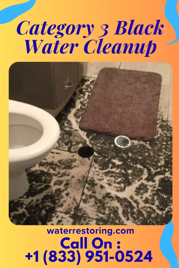 Category 3 Black Water Cleanup in Port Clinton, PA