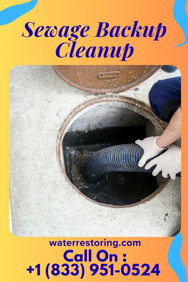 Sewage Backup Cleanup in Port Clinton, PA