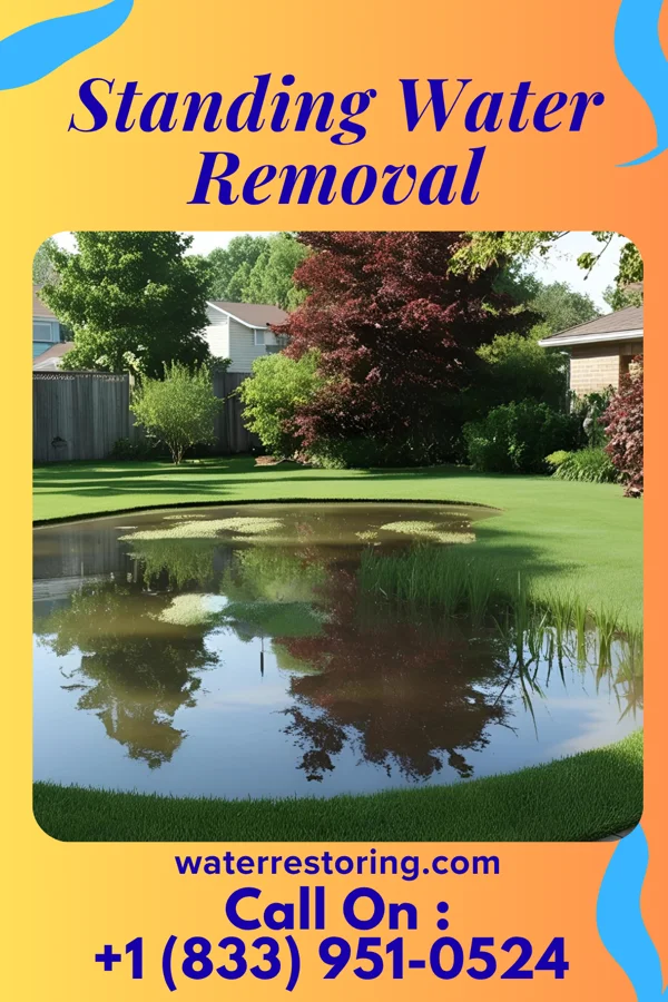 Standing Water Removal in Port Clinton, PA
